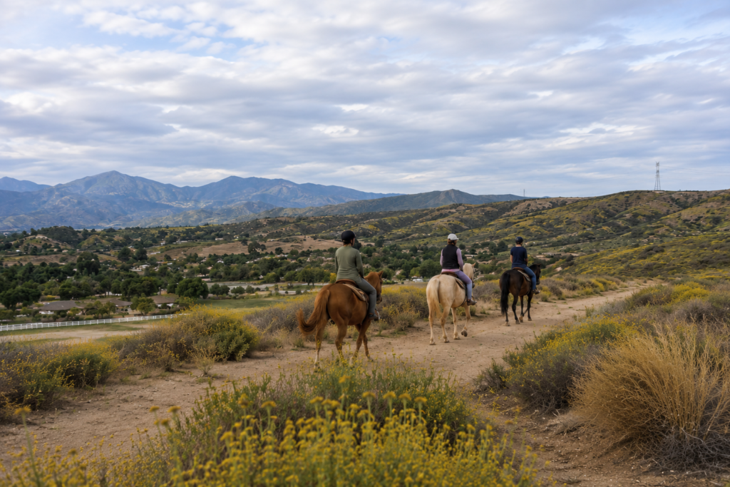 The Hidden Dangers of Horseback Riding