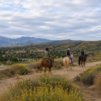 horseback-riding horseback-riding